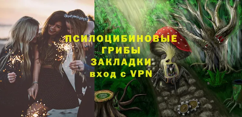 Псилоцибиновые грибы Magic Shrooms  mega ссылка  Игарка 